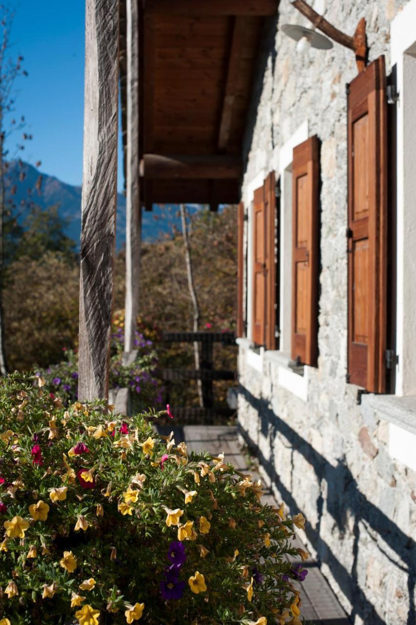 Agriturismo La Pedruscia Civo Εξωτερικό φωτογραφία