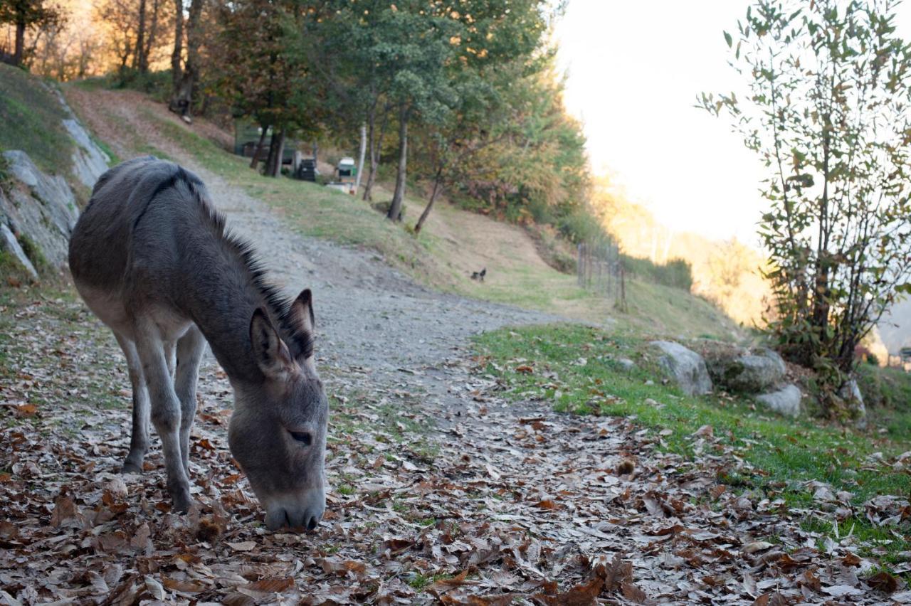 Agriturismo La Pedruscia Civo Εξωτερικό φωτογραφία